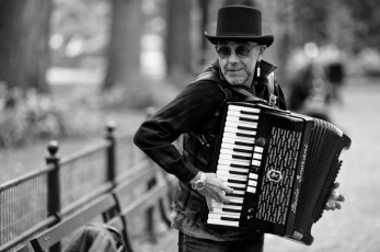 accordion-player