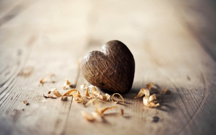 heart-wood-shavings-sawdust-love-1